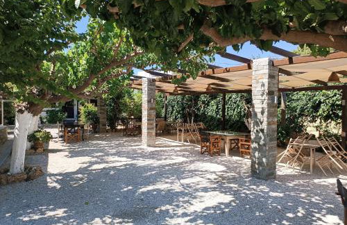 Vasilis Studios - Foto 16