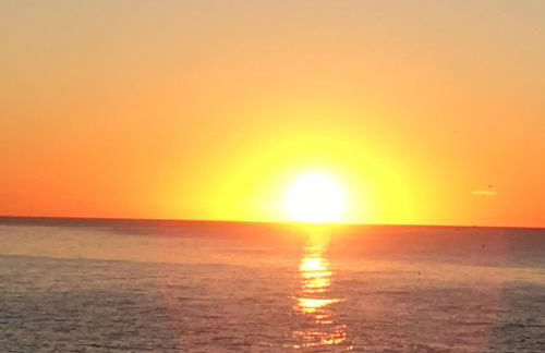 Perla de Malagueta - Foto 64