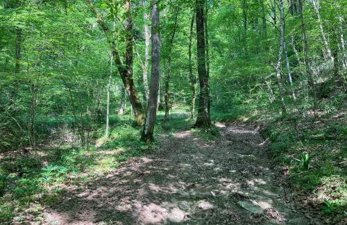 Agriturismo Col Maor - Foto 14