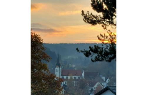 Ferienglück Unterkirnach - Foto 12