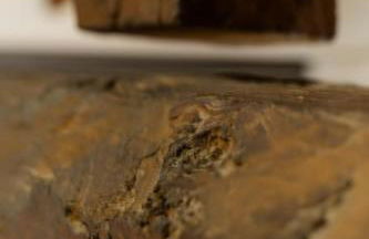 Fiori e Spezie - Foto 36