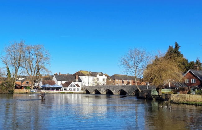 Forest Palms - Foto 38