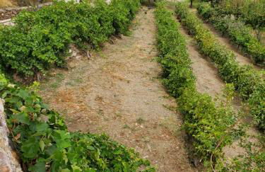 Cortijos Rey Fini - Foto 61