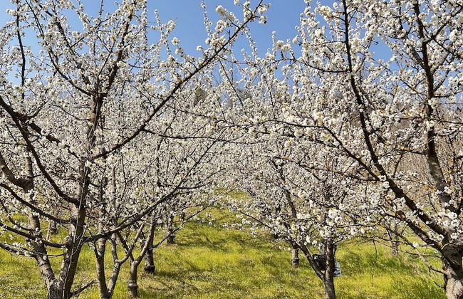 Agriturismo Rio Verde - Foto 34