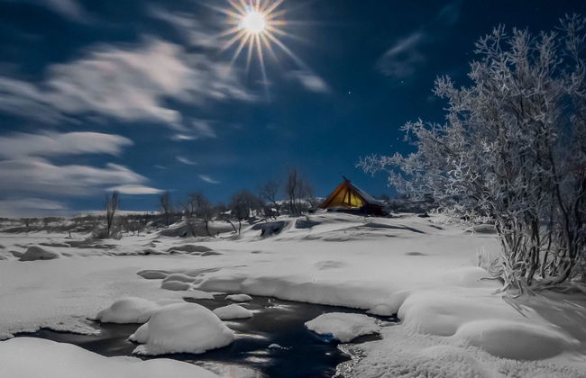 Haltinsaana - Foto 33