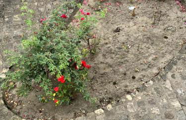 Le cocon Parking privé Centre ville Gare - Foto 12