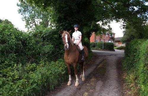 Pine Tree Lodge, Bridgnorth - Foto 58