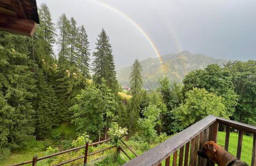 Maso Pallabazzer - Colle Santa Lucia - Foto 33