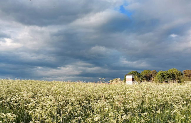 4 Star Holiday Home in Praesto - Foto 17