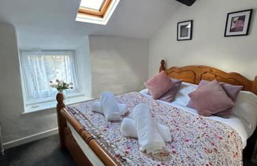 Love Lane Cottage Dolgellau - Foto 15