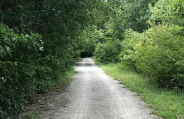 Hidden Treasure Harvest House Forest Getaway 30 Min. West of Fort Worth - Photo 4