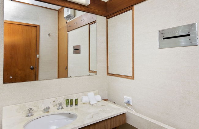 Grey Kangaroo- On Lake Jindabyne foreshore - Foto 15