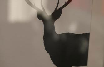 Haus Sonnenblick - Foto 16