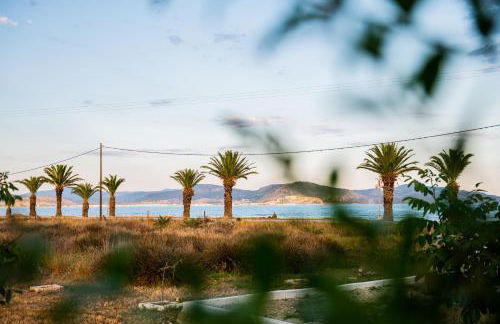 Sea View Residence - Foto 11