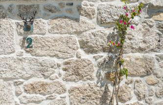 Casa Monte do Cervo - Foto 29