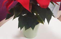 El rincón de MI NIÑA - Foto 16