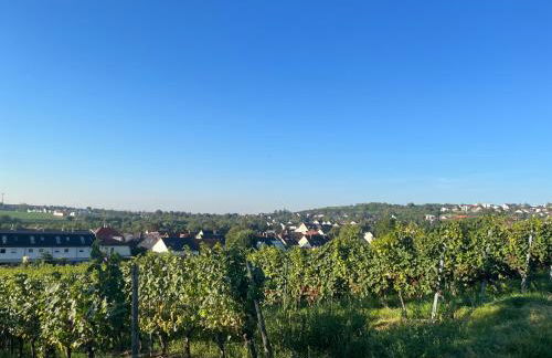 Ferienwohnung im Geyserhof - Foto 16