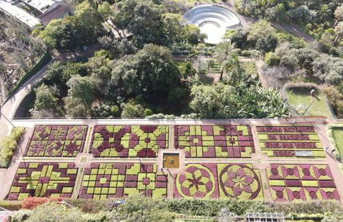 Sea and Sun 4 You - Palheiro Village - Foto 95