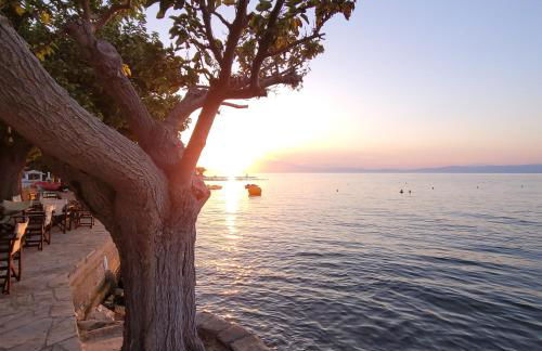 Sol Greco Apartment - Photo 24