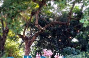 Gartenparadies Ferienhaus - Foto 10