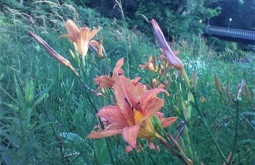 Townhouse W Private Deck & Mt View - Foto 59