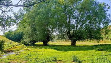 Vistas Del Maestrazgo apartamentos Rurales - Foto 3