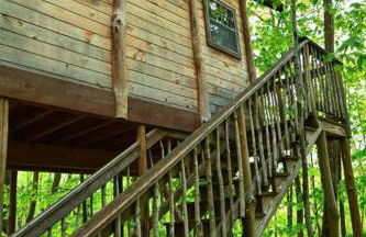 Maine Woods Treehouse-The Birdie - Foto 14