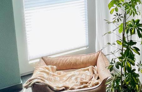 Feriendomizil Möhne I Hundefreundlich I Sauna I Seenähe - Foto 21