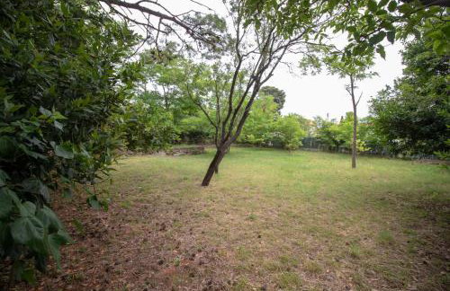 Villa Iginia, Nerezine - Foto 56