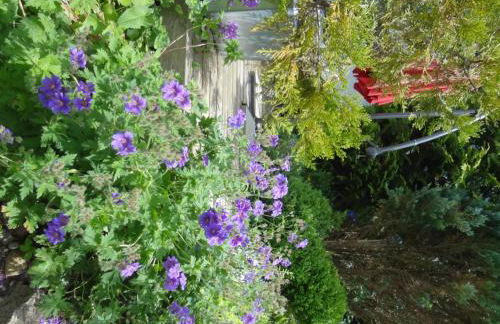 Ferienwohnung Eisele - Photo 8