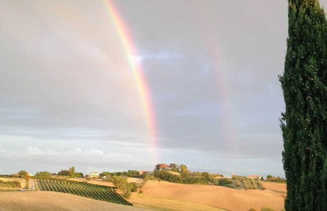 Apartment Amidst Vineyards & Blue Skies - Foto 30