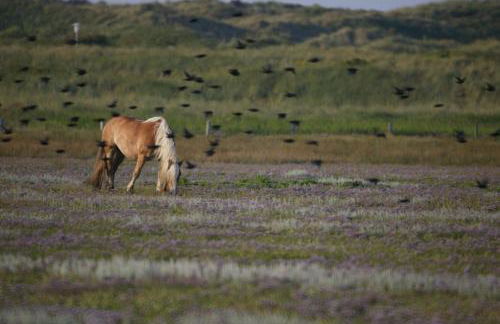 Wohnung Peper - Foto 28