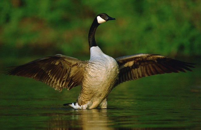 LA Nana DEL MAR Flat on the old Port of Cudillero - Photo 48