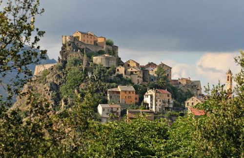 Les bougainvilliers - Foto 33