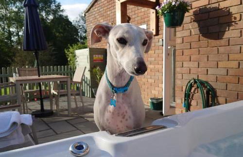 Woodpeckers - Alresford Essex - Foto 21