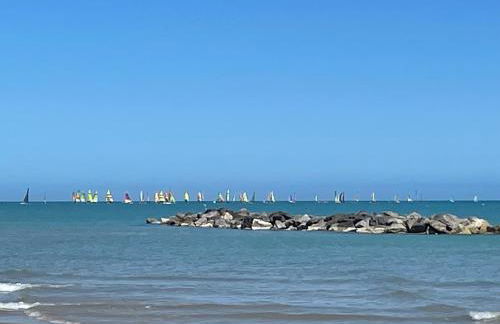 Le Ortensie in centro e vicino al mare - Foto 36