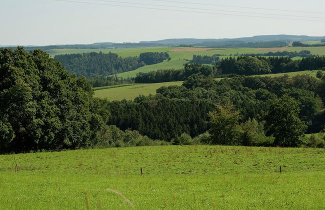 Beautiful Manor House in a Park Near Rochefort - Foto 44