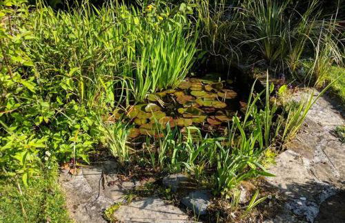 Lower Great Torr - Foto 35