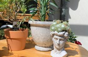 Ferienwohnung Jupp - Foto 24