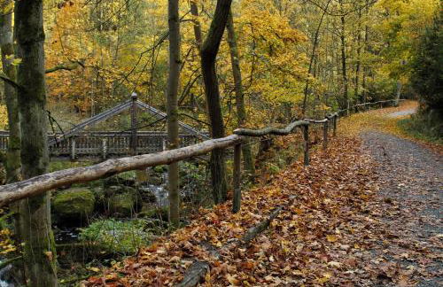 Chalet Alba - Foto 56