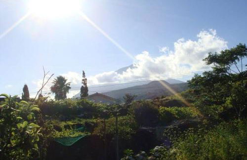 Silveira's Home - Photo 21