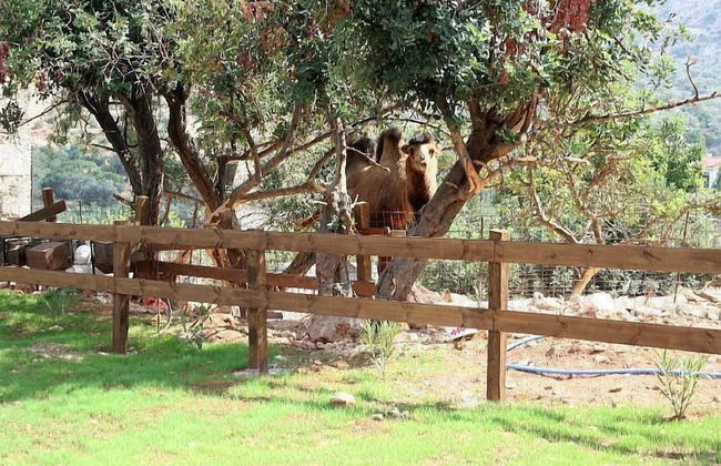 Stone Village - Photo 40