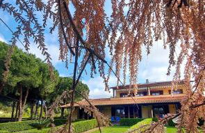 Lido Azzurro Residence rta - Foto 14