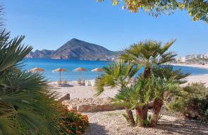 Nolan House - Photo 20