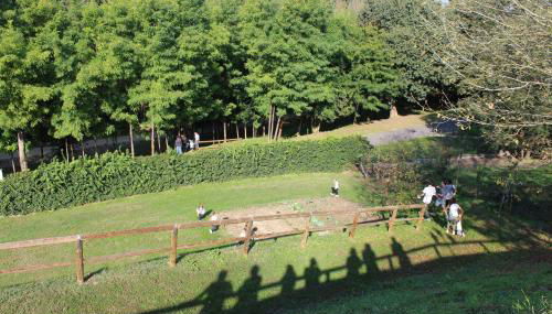 Corte Attilea - Foto 5, Garden