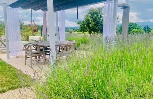 La Belle Lumière - Foto 27