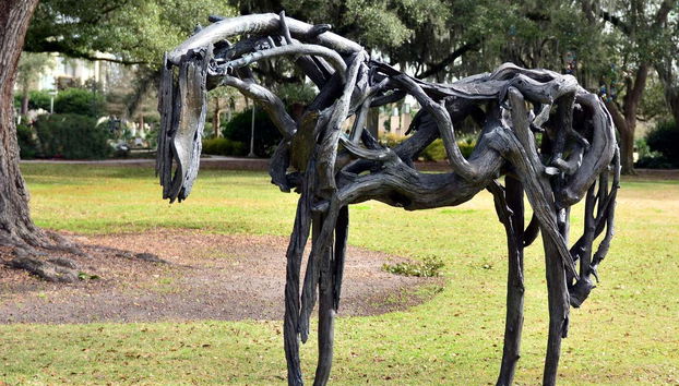 Visite à la Nouvelle-Orléans - Photo 4