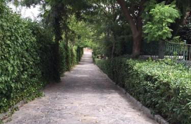 Spacious villa with private pool in Villamartin - Foto 43