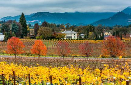 Uncork & Unwind - Luxe Executive Monthly Stay - Downtown Napa - Foto 63