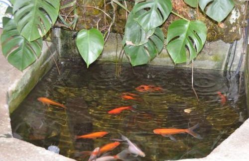 Marina Vila House, Masnou - Photo 46